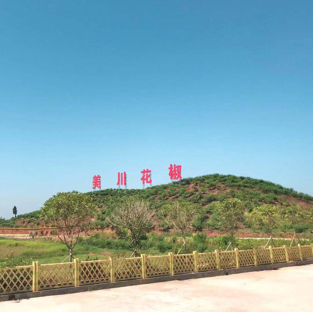 村企共創,建美麗宜居鄉村