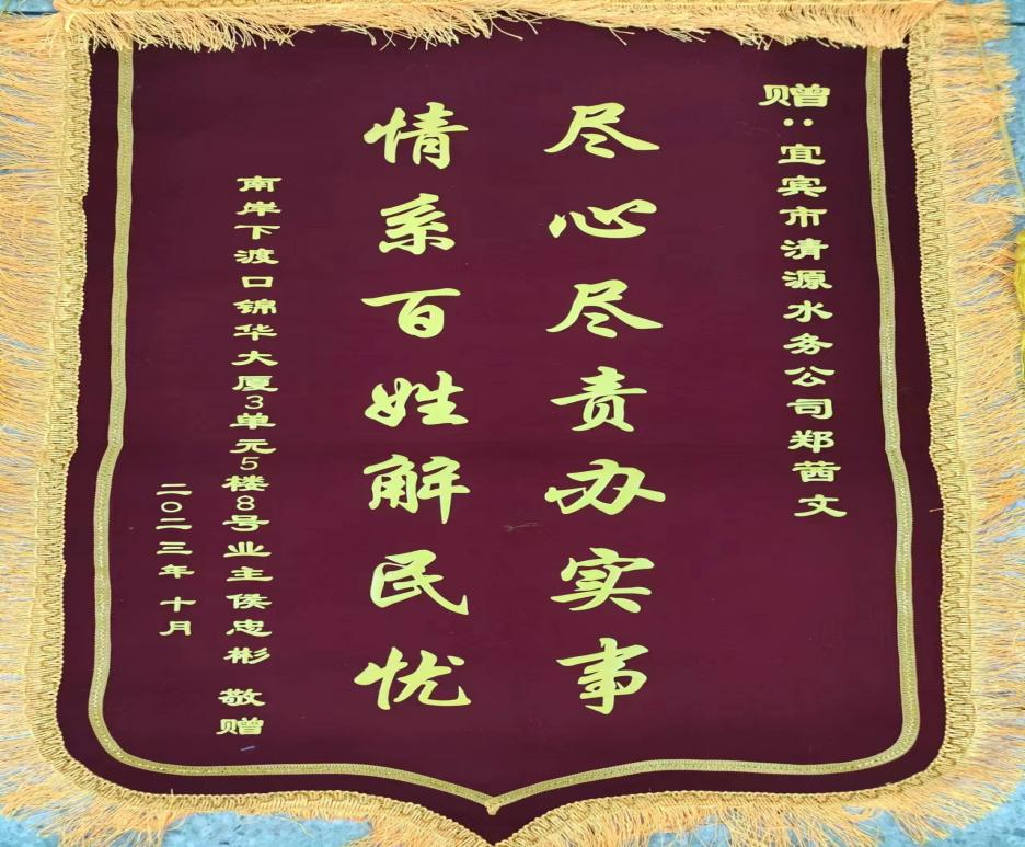 盡心盡責辦實事，為民解憂獲贊揚